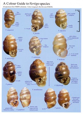 Click here to continue