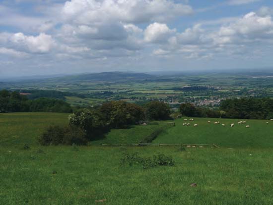 Grassland and scrub near Broadway Tower, 14th June 2008 (Harry Green)