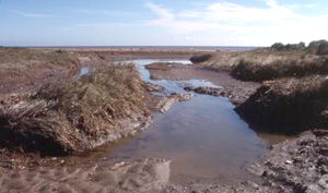 Dykes and drainage ditches